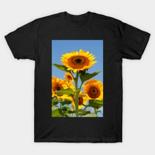 Rise and Shine T-Shirt